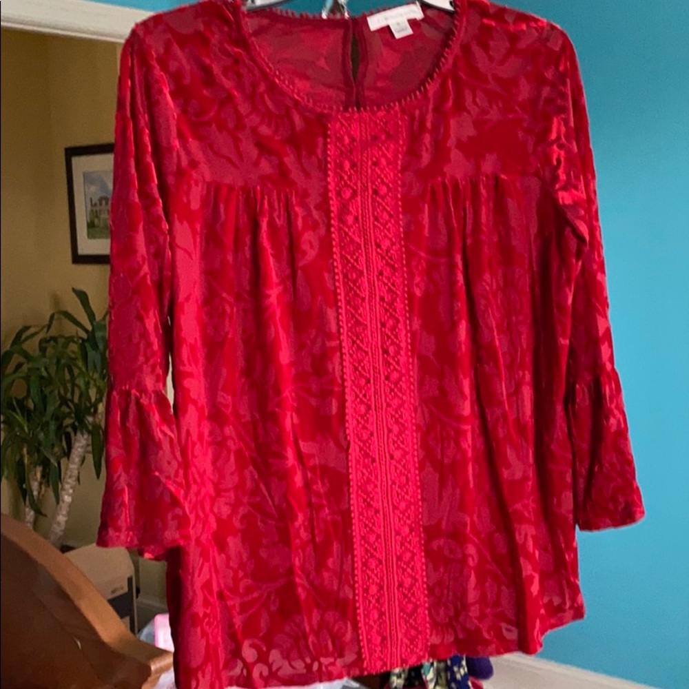 Red velvet blouse